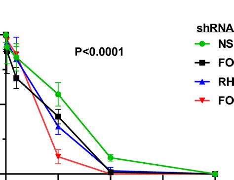 FOXM1 And RHNO1 Knockdown Enhances OVCAR8 Cell Sensitivity To