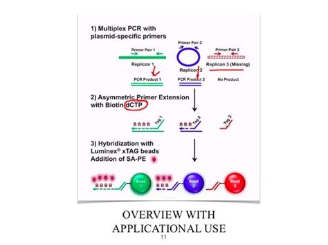 Multiplex PCR and its Applications