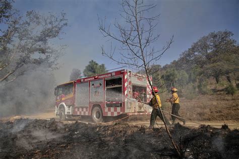 Contienen Incendio Forestal En El Bosque De El Centinela En Zapopan