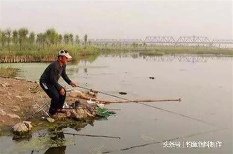 秋季釣鯽魚，一定要學會這些餌料配方，誘魚效果不是一般的好！ 每日頭條