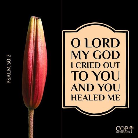 A Red Flower With The Words O Lord My God I Cried Out To You And You