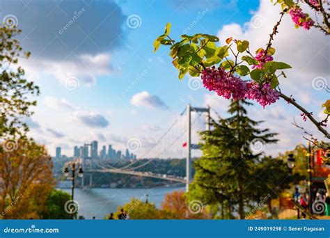 Judas Tree Ou Erguvan Paisagem Urbana De Istanbul Sobre Fundo Foto