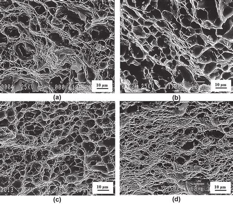 Sem Micrographs Of The Fracture Surfaces Of The Fspd Specimens A