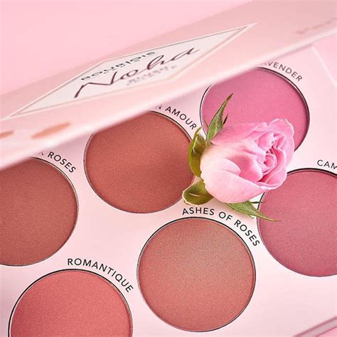 Bourjois Noha Blush Palette Paris En Rose Fard A Joue Bonheur Home