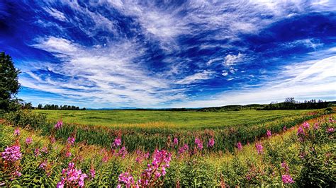 Fond D Cran Paysage Colline La Nature Herbe Ciel Champ Matin