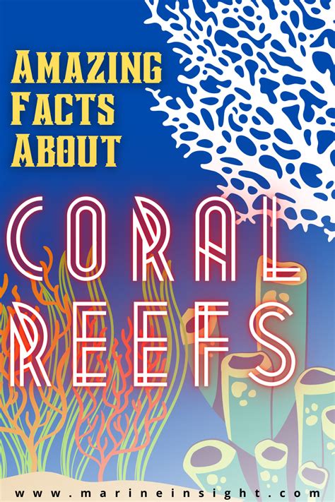 15 Amazing Facts About Coral Reefs Fun Facts Coral Reef Facts