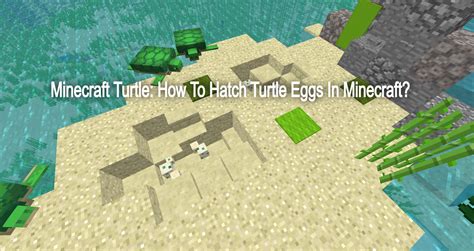 Minecraft Turtle: How To Hatch Turtle Eggs In Minecraft? - ABN NEWS