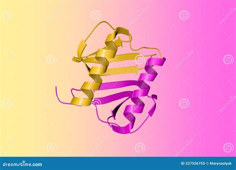 Crystal Structure of Human Interleukin-8 in Solution. Ribbons Diagram ...