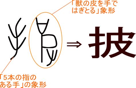 「披」という漢字の意味・成り立ち・読み方・画数・部首を学習