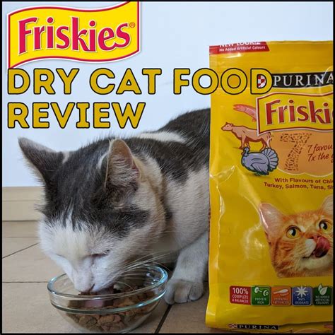 Honest Friskies Dry Cat Food Review 2024