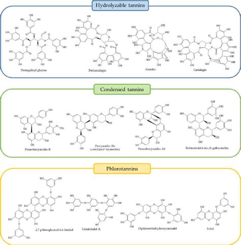 Chemical Structure Of Main Tannins Present In The Selected Species