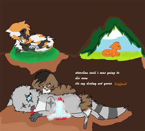 Cinderpelts Death by SCOURGE-Tiny on DeviantArt