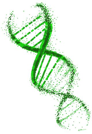 Dna Png Dna Transparent Background Freeiconspng