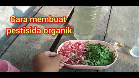 Cara Membuat Pestisida Organik Youtube