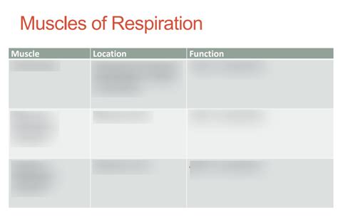 Muscles Of Respiration Diagram Diagram Quizlet