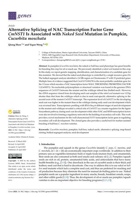 PDF Alternative Splicing Of NAC Transcription Factor Gene CmNST1 Is