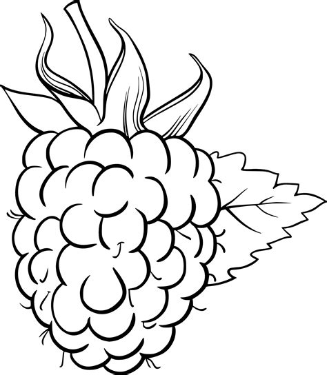 Coloriage Framboise Imprimer