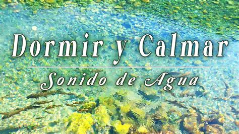 ASMR Ruido Blanco AGUA Calma Tu Mente Terapia Con Sonidos De