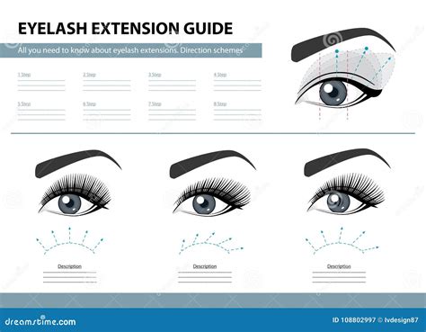 Eyelash Extension Guide Direction Schemes Tips And Tricks For Lash Extension Infographic