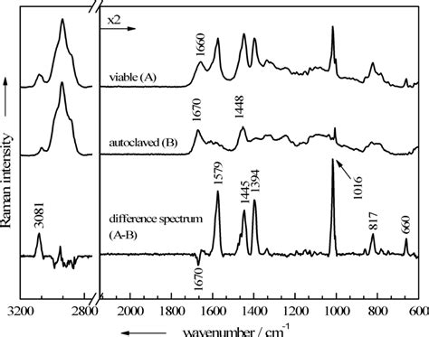 Baseline Corrected Mean Raman Spectra Each Calculated From 20