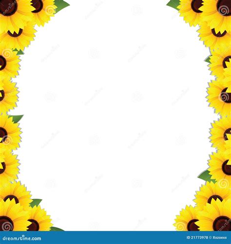 Sunflowers Frame Borders Stock Vector Illustration Of Freshness 21773978