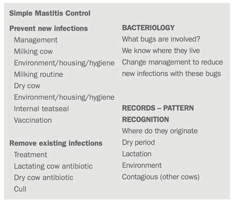 Mastitis In Dairy Cows And Scc