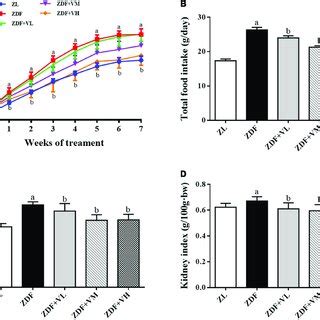 Effects Of 1 25 OH 2 D 3 On The Body Weight Food Intake And Kidney