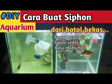 Cara Buat Sifon Aquarium Tanpa Kuras Tanpa Sedot Diy Siphon Aquarium