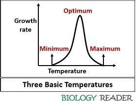 Bacterial Growth Factors - Temperature, pH, Oxygen & Light - Biology Reader