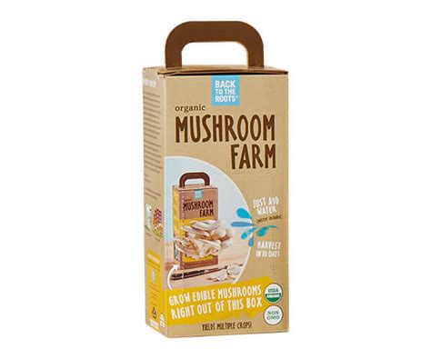 Mushroom Growing Kit Boxes — Bespoke Cardboard Packaging For Mushrooms