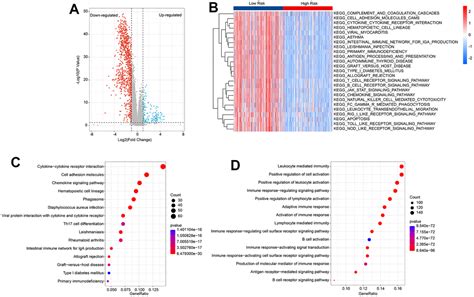 The Development And Experimental Validation Of Hypoxia Related Long