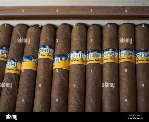 Hand Made Cigars Hi Res Stock Photography And Images Alamy