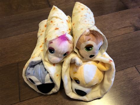 cutetitos unroll discover  play  holiday gift guide