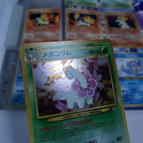 ポケモンカード ネオ プレミアムファイル Pokemon Card Neo ポケカ 旧裏 オーダイル バクフーン メガニウム 金銀カード