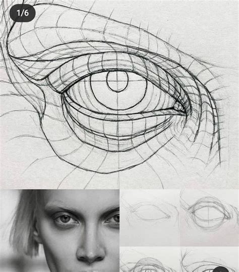 Pin By Lea Pallais Barrios On Dibujos In Anatomy Sketches