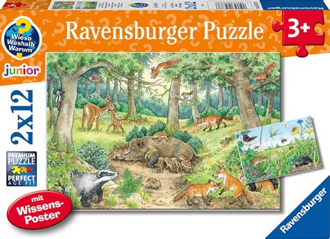 Ravensburger Kinderpuzzle Tiere Im Wald Und Auf Der Wiese