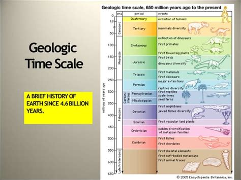 Measures Evolutionary Time Geologic Time