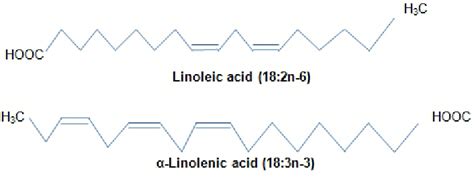 Linolenic Acid Structure