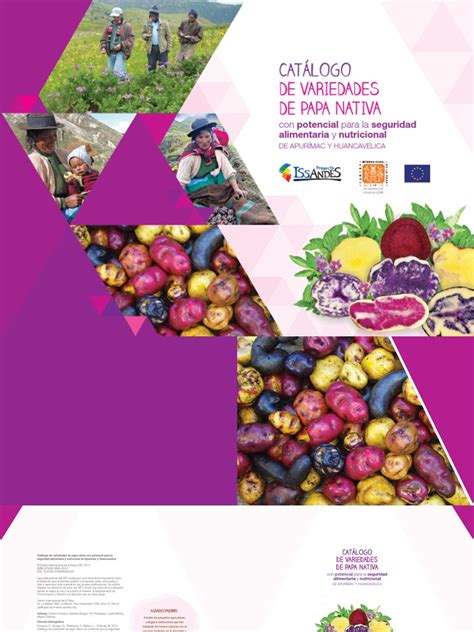 PDF Catalogo De Variedades De Papas Nativas Con Potencial Para La