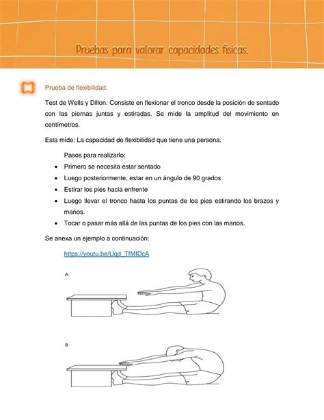 Solution Pruebas Para Valorar Capacidades F Sicas Studypool