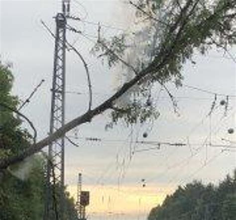 Bei Unwetter Baum stürzt auf S Bahn Strecke zwischen Planegg und Stockdorf