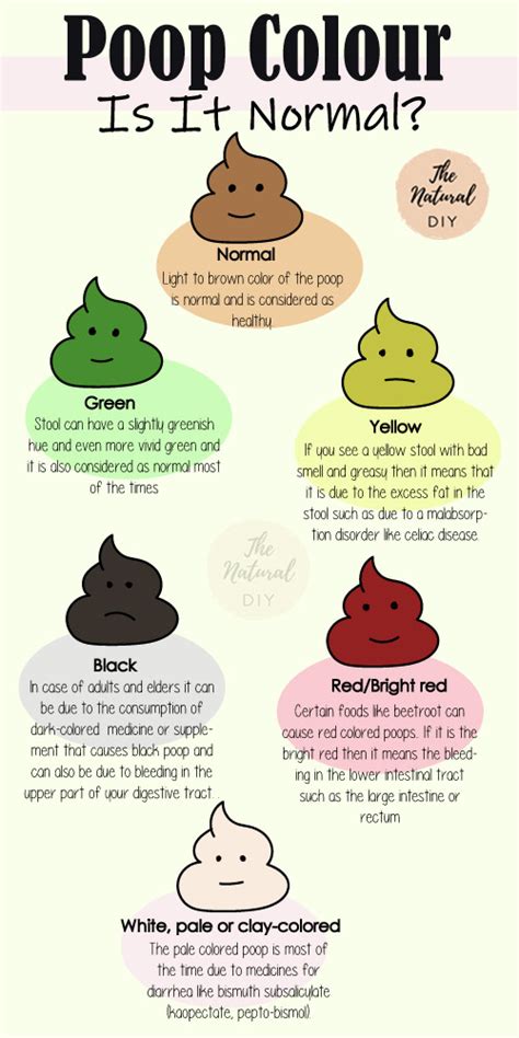 POOP COLOR - WHAT THEY MEAN? - The Natural DIY