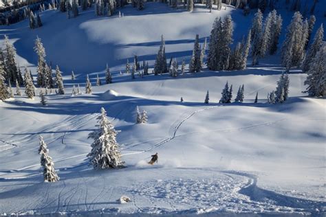 Virages à ski comment les maîtriser cluster cim fr