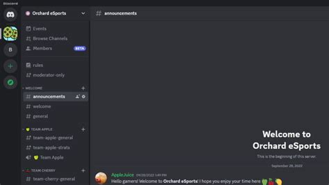 Alertas De Actividades Acciones De Seguridad Discord