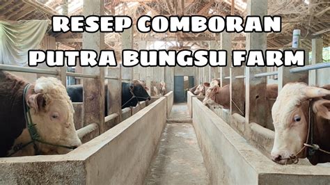 RESEP COMBORAN PUTRA BUNGSU FARM BELAJAR DARI YOUTUBE KANDANG