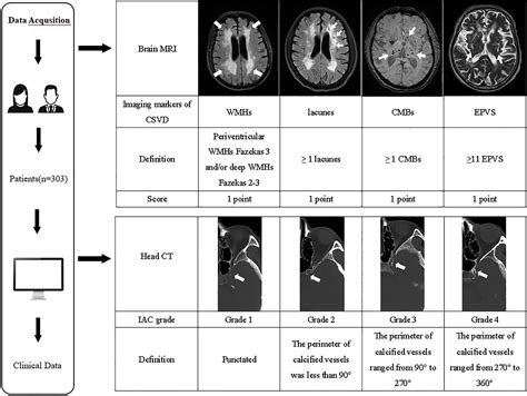 Frontiers Associations Between Semi Quantitative Evaluation Of