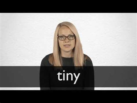 TINY - 含义与翻译 | 柯林斯英语词典
