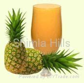 Pineapple Juice Concentrate SHOP PJC India Manufacturer Other