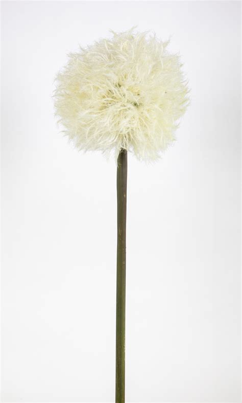 Pusteblume Cm Wei Cg Kunstblumen K Nstliche Dandelion Taraxacum Blumen