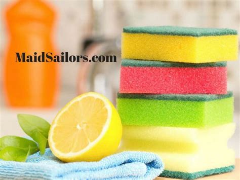 The Four Best Dish Sponges | Maid Sailors